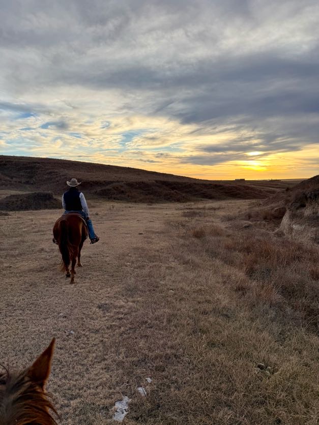 Cowboy riding a horse along a grassy path at sunset, with rolling hills and a dramatic sky in the background.